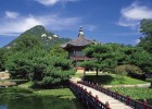 深入解析，卵泡黄素化与排卵的本质区别