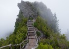 促卵泡成熟素正常水平解析，了解您的生育健康
